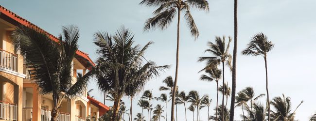This image shows a serene hotel poolside with lined-up lounge chairs, tall palm trees, and a hotel building in the background under a clear blue sky.