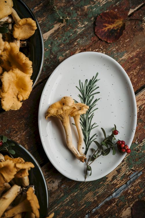 A white plate with mushrooms, rosemary, and red berries is on a rustic wooden table surrounded by other plates with mushrooms.