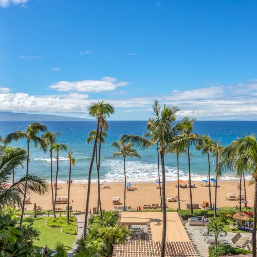 A beautiful beach scene with tall palm trees, a sandy shore, and clear blue water. A hotel building is visible on the left side of the image.