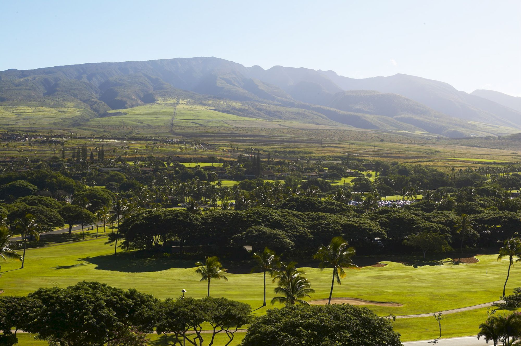 This image shows a lush, green landscape with palm trees and a golf course in the foreground, and mountains in the background, under a clear sky.
