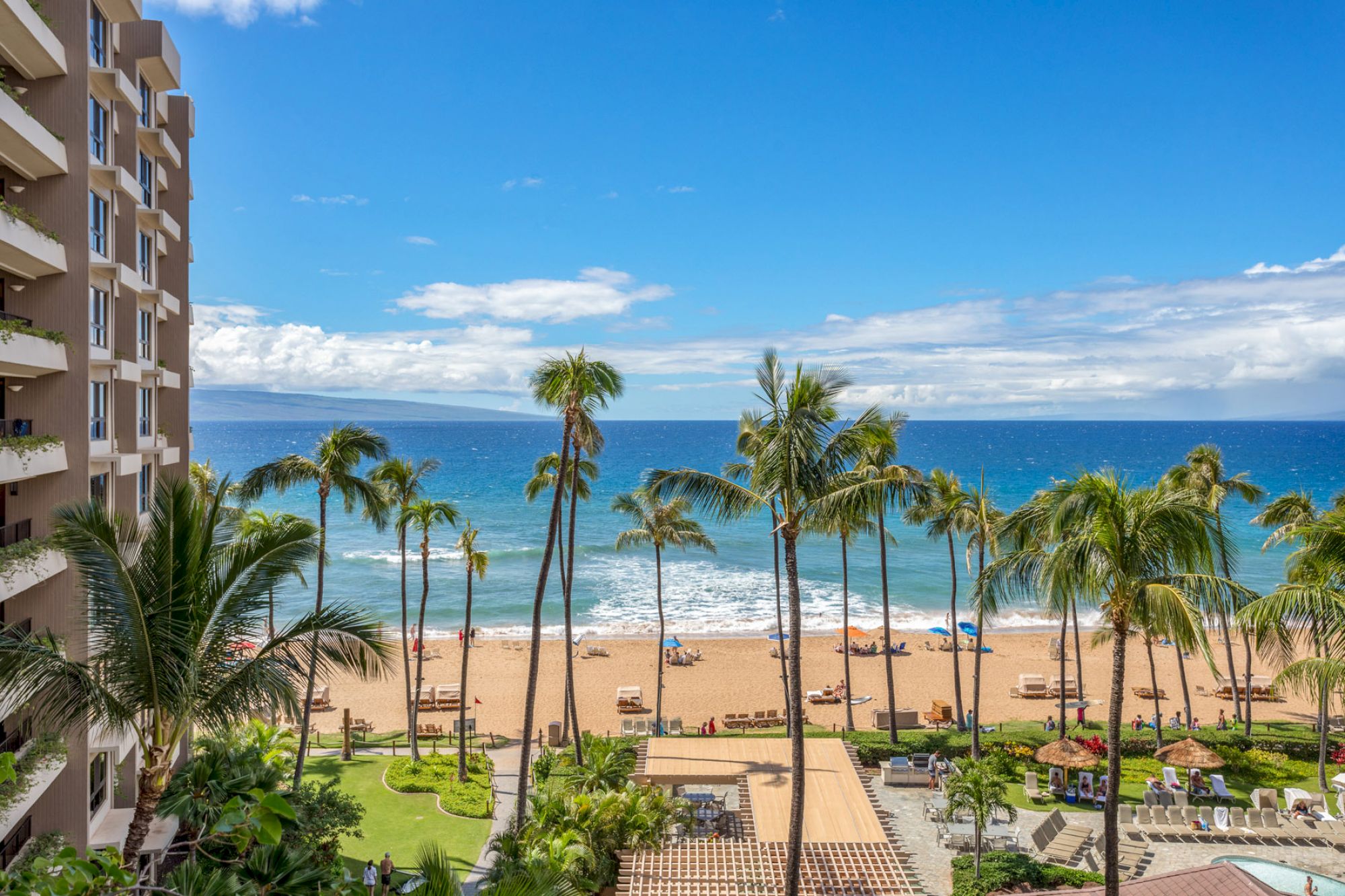 Beachfront view with tall palm trees, clear blue sky, and ocean. A hotel building on the left and a sandy beach with lounge chairs.