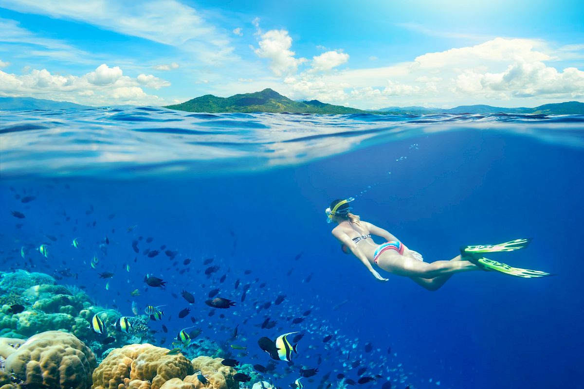 A person is snorkeling in clear blue water above a vibrant coral reef with colorful fish, under a sunny sky with mountains in the distance.