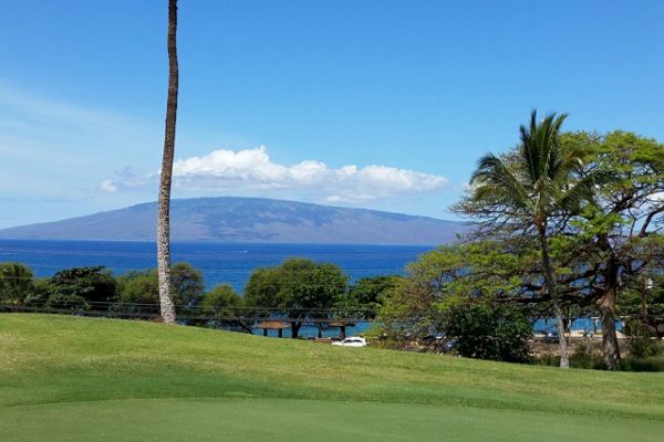 A scenic view of a tropical landscape with palm trees, a manicured green field, ocean, and a distant island under a clear blue sky ending the sentence.