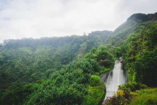 A winding road cuts through dense, lush green forest with a red car traveling along it under a cloudy sky in the image.
