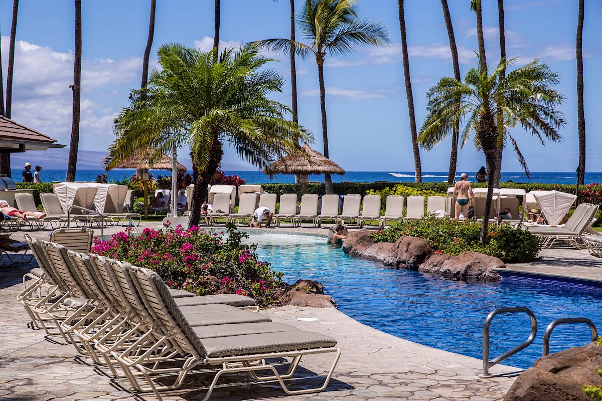 A tropical resort setting with a pool, lined with lounge chairs, palm trees, and beach umbrellas, overlooking the ocean under a clear blue sky.