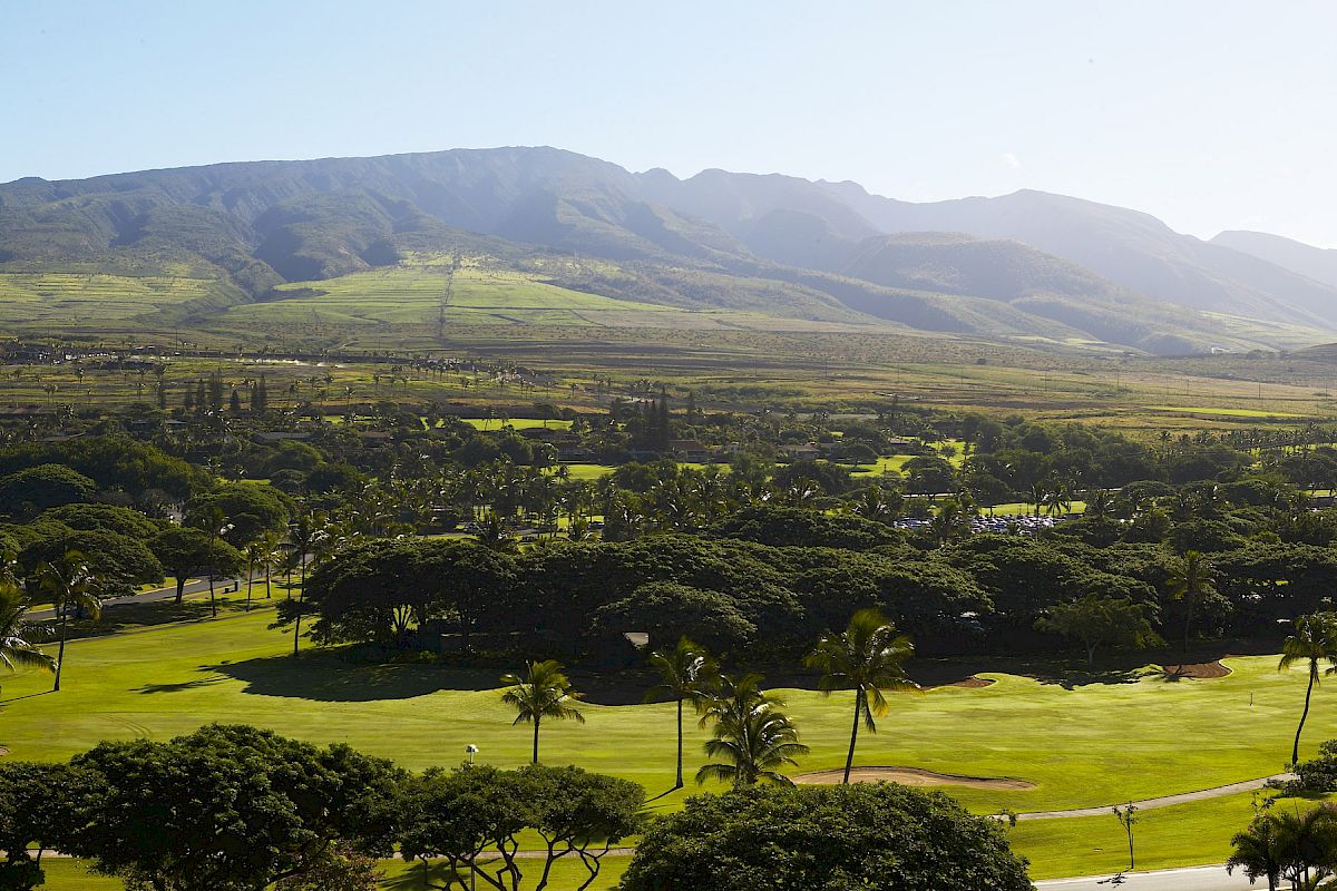 The image shows a lush green landscape with palm trees, open grassy areas, and a backdrop of mountains under a clear blue sky.