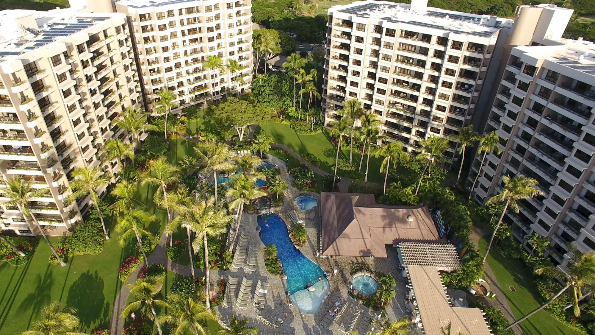 The image shows a resort with multiple high-rise buildings, palm trees, swimming pools, and landscaped grounds.