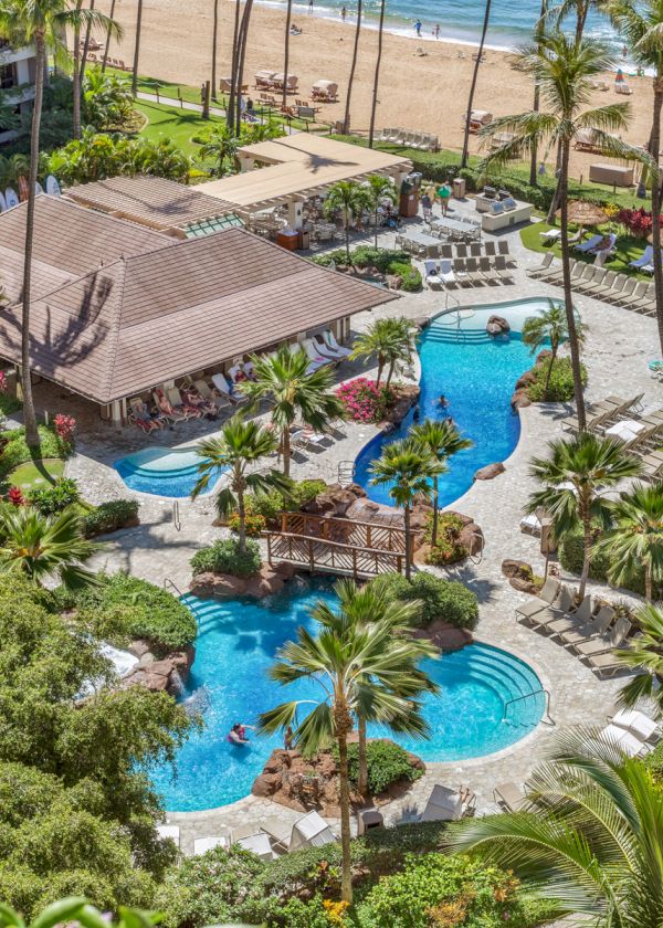 A tropical resort featuring a beach, multiple pools, lush gardens, and lounge areas surrounded by palm trees and beachfront.