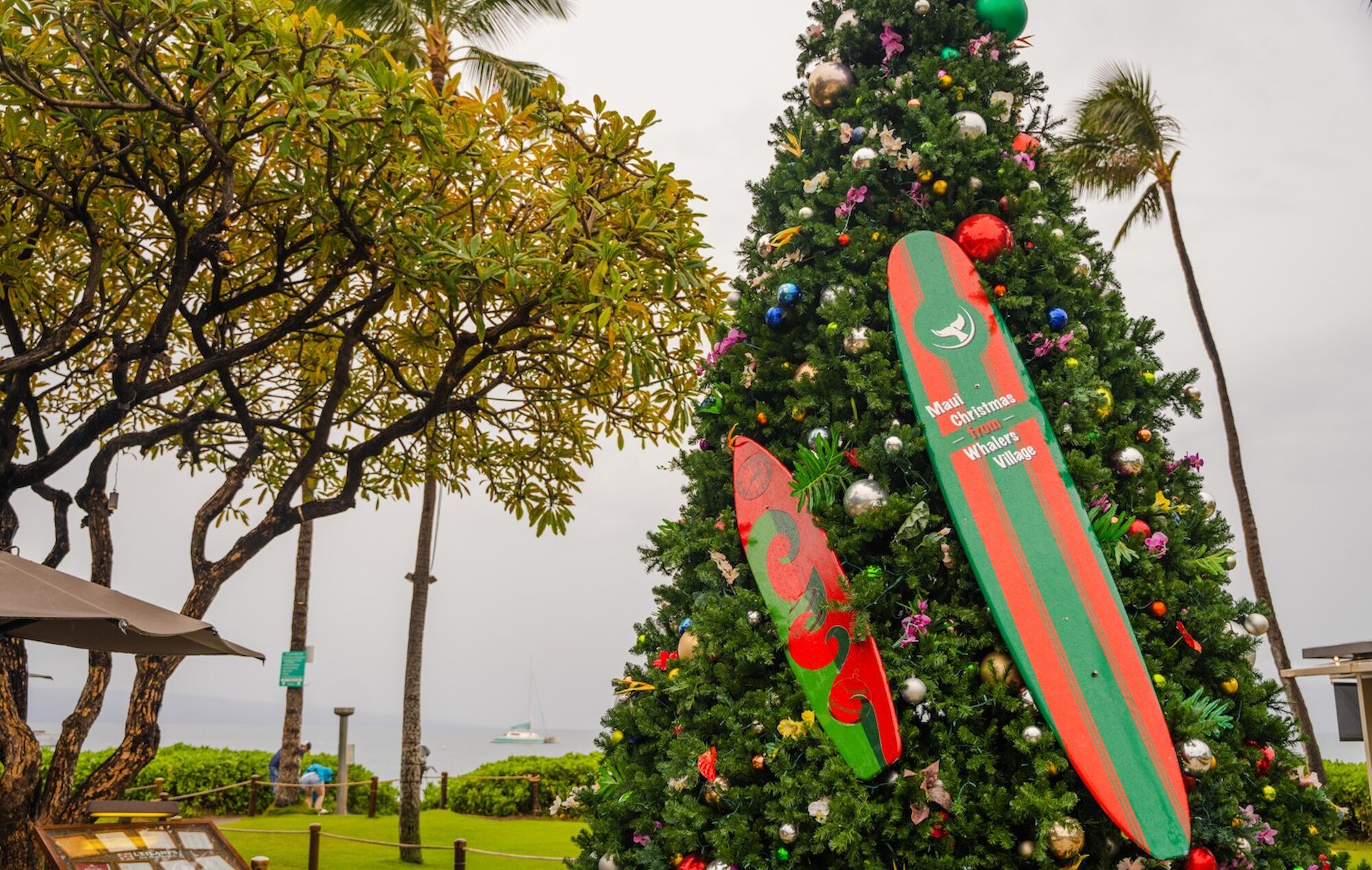 The image features a decorated Christmas tree with surfboards, tropical plants, and a seaside backdrop, evoking a festive beach atmosphere.
