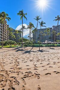 Sunny beach with footprints on wet sand, palm trees, and modern resort buildings under a bright blue sky with the sun shining.