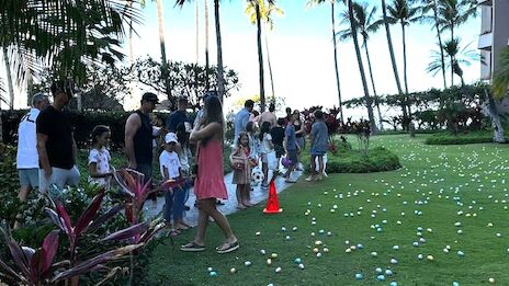 People line up on a grassy lawn near palm trees, tossing/taking photos with scattered cups or cups on the ground.