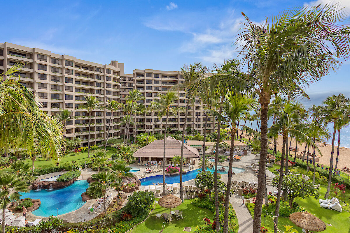 A beachfront resort with a large curved hotel building, palm trees, a pool area, and a sandy beach toward the ocean, sunny and tropical.