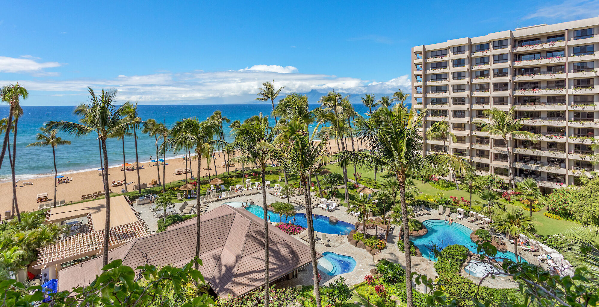 A sunny beach resort with tall palm trees, a sandy shore, blue ocean, and a large hotel building beside multiple pools and lounge areas.