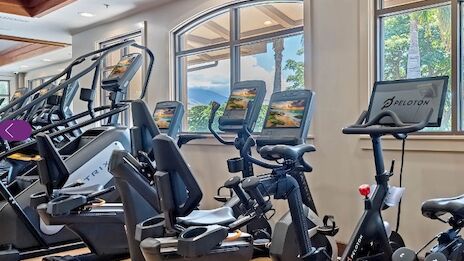 A row of cardio machines, including treadmills and stationary bikes, in a bright gym with large windows and scenic outdoor views.