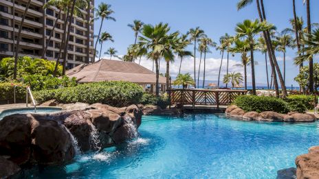 A tropical resort pool with clear blue water, rocky edges, lush palms, and a scenic ocean view in the distance, under a bright, sunny sky.